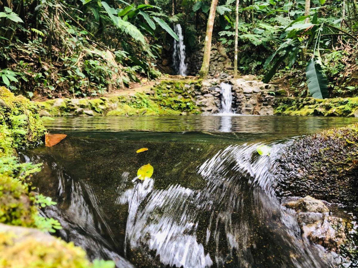 Hotel Bosques Do Massaguacu Карагуататуба Екстер'єр фото